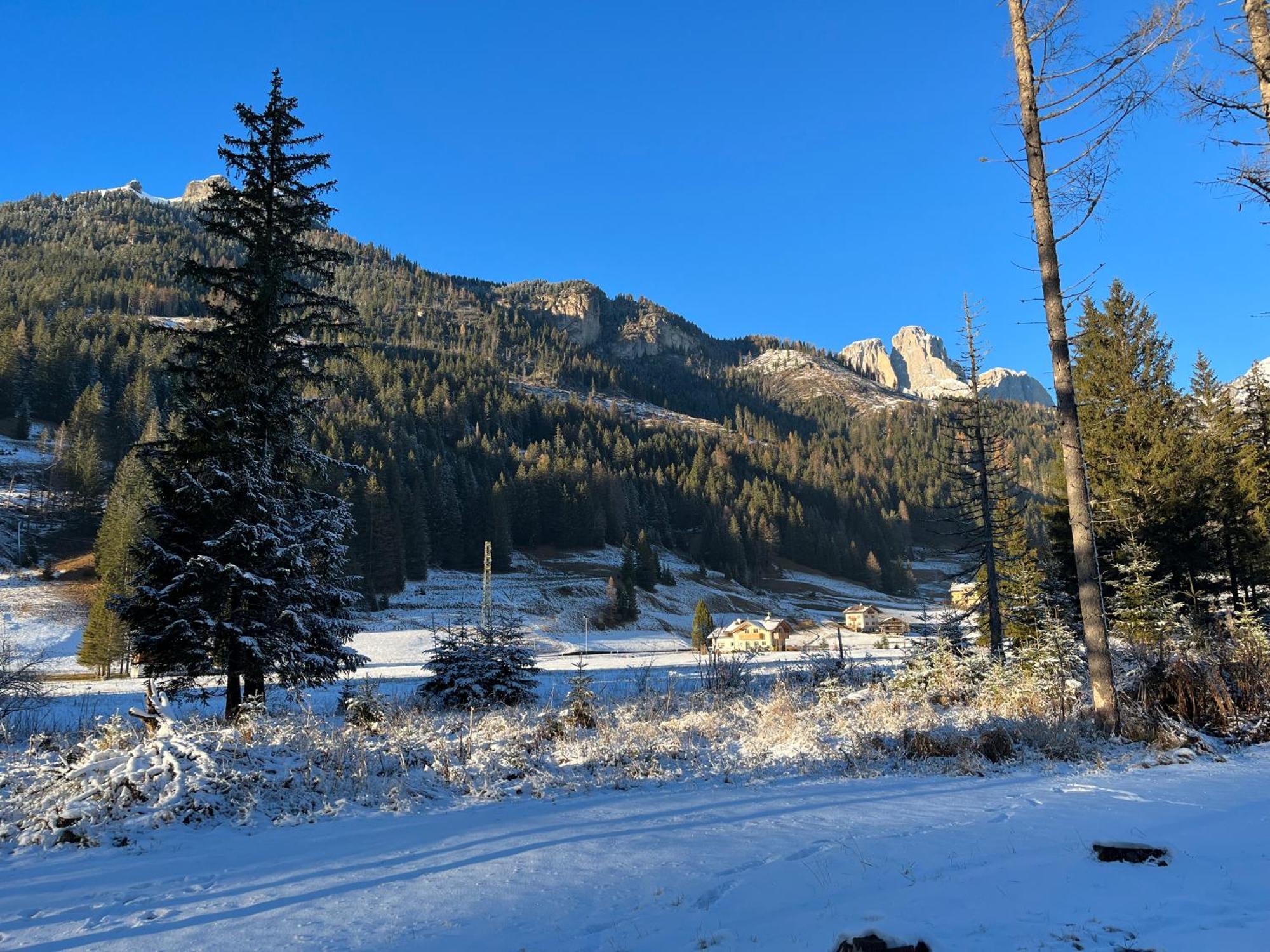 Mes Lastei Apartment Campitello di Fassa Luaran gambar