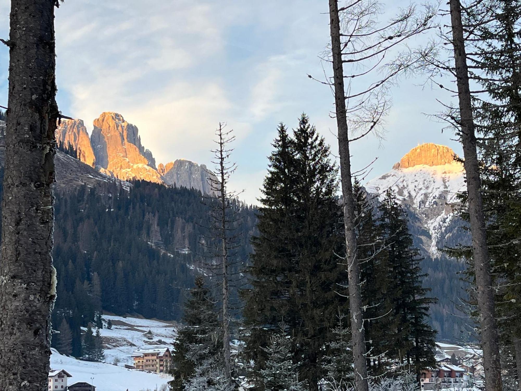 Mes Lastei Apartment Campitello di Fassa Luaran gambar
