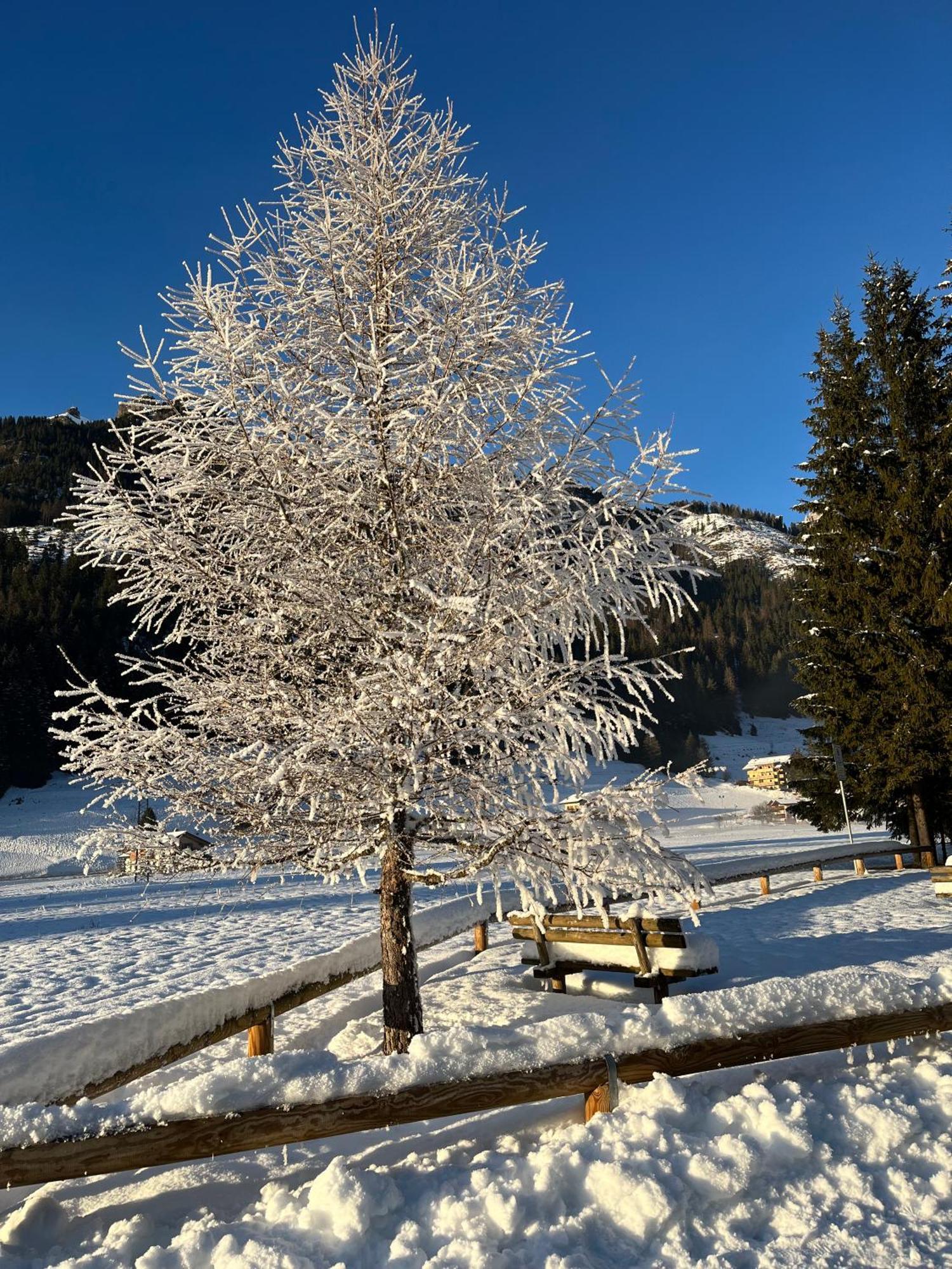 Mes Lastei Apartment Campitello di Fassa Luaran gambar