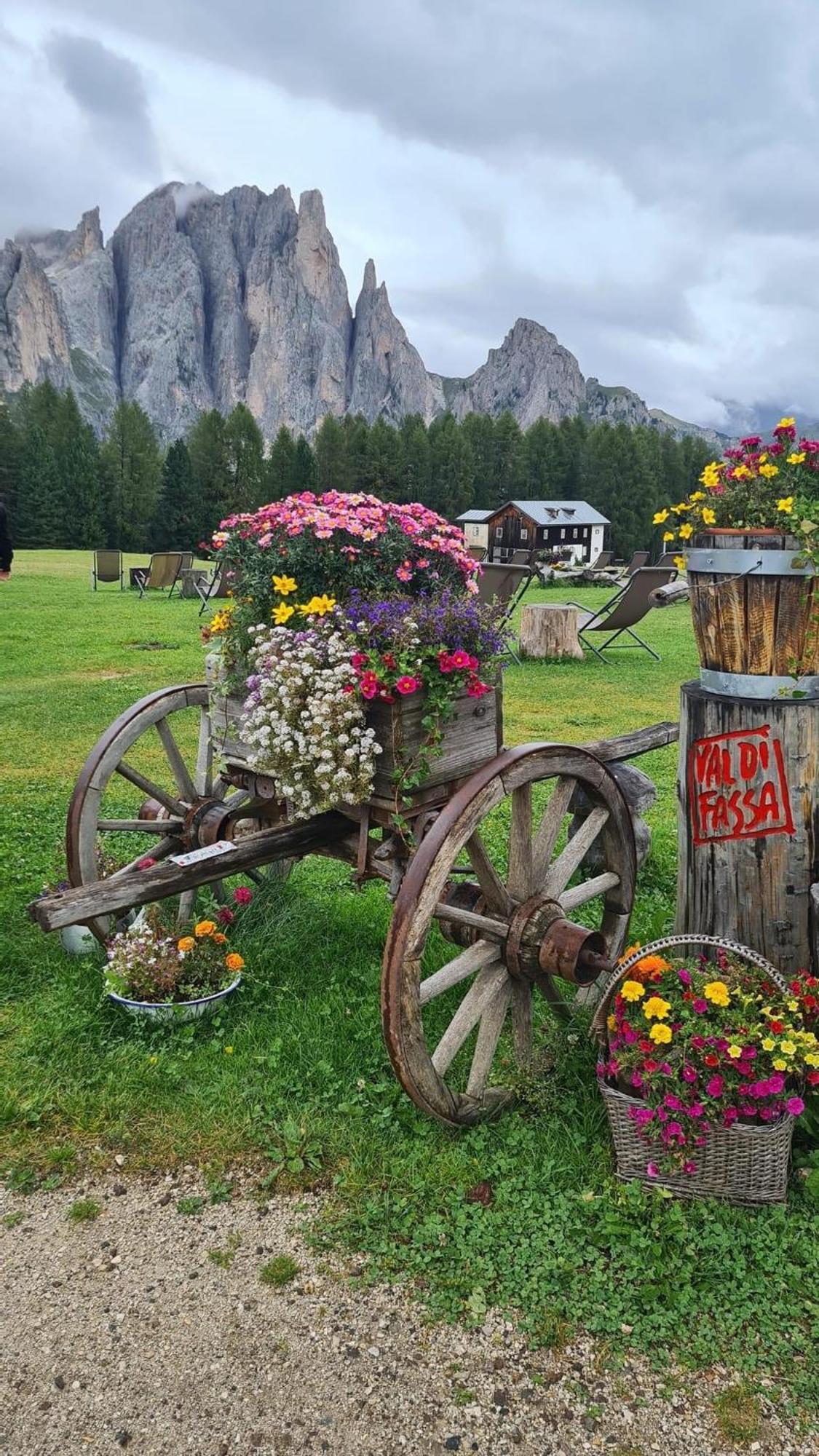 Mes Lastei Apartment Campitello di Fassa Luaran gambar