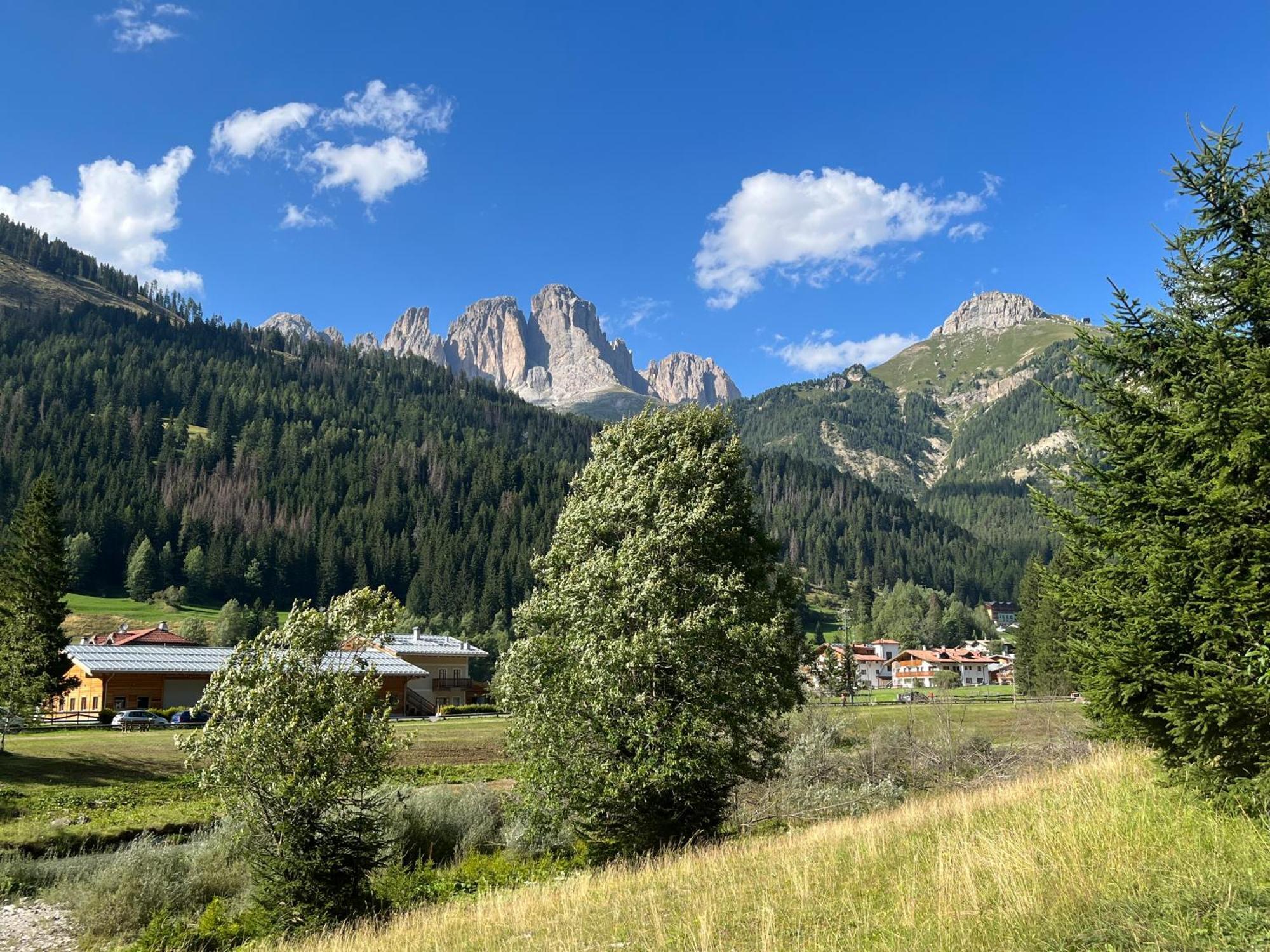 Mes Lastei Apartment Campitello di Fassa Luaran gambar